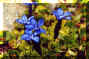 114-2-1.jpg (17619 byte)