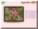 2007-04.jpg (330283 byte)