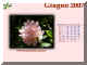 2007-06.jpg (245070 byte)