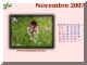 2007-11.jpg (236584 byte)