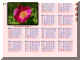 2007-dsktp.jpg (579001 byte)