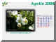 2008-04.jpg (294171 byte)