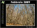 2009-02.jpg (943028 byte)