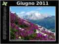 2011-06.jpg (197280 byte)