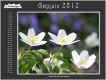 2012-01.jpg (439996 byte)