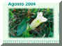 Agosto04.jpg (494677 byte)