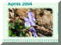 Aprile04.jpg (407194 byte)