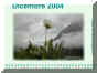 Dicembre04.jpg (307759 byte)