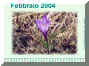 Febbraio04.jpg (497426 byte)