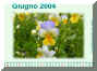 Giugno04.jpg (406595 byte)