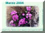 Marzo04.jpg (506896 byte)