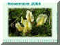 Novembre04.jpg (405779 byte)