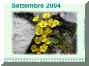Settembre04.jpg (455500 byte)