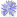 FIORI BLU